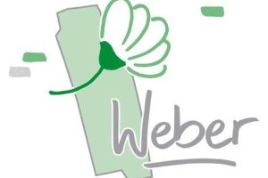 Haus Garten & Landschaftsbau Weber Logo