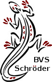 BVS - Schröder Logo