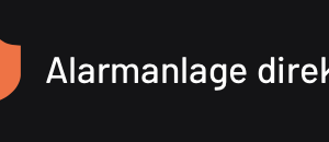 Alarmanlage für Geschäft, Laden, Praxis, Halle, Büro kaufen Logo