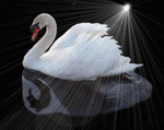 Fliesenschwan Logo