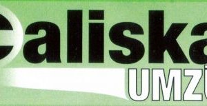 www.europaweite-umzuege.de Logo