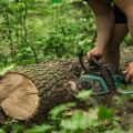 Die Gartenhelden GmbH - Erstes Bild