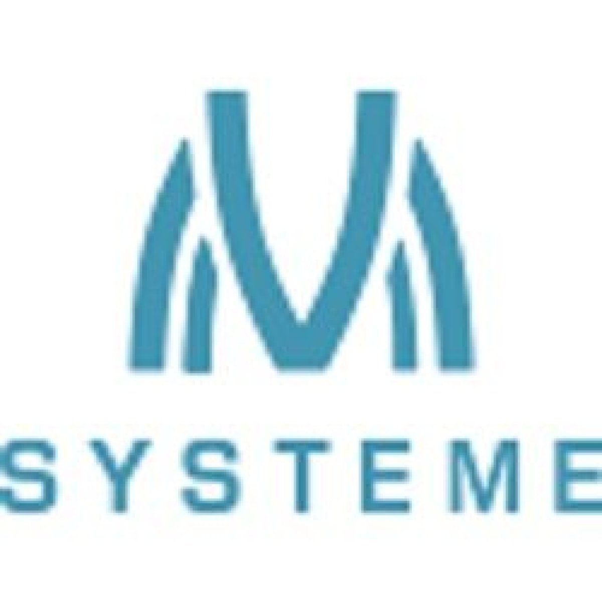 VM Systeme Logo
