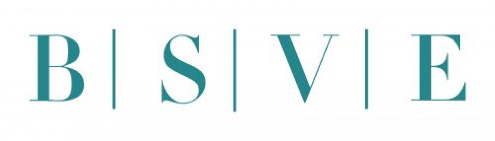 BSVE Bau-Sachverständiger Erkmen Logo