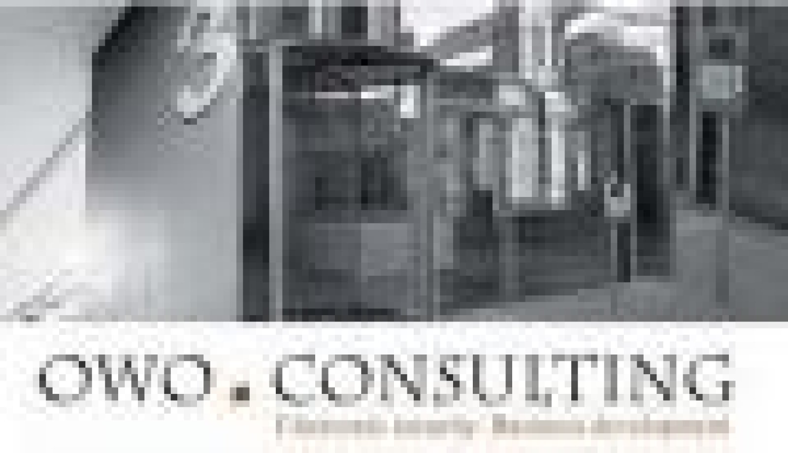 OWO Consulting Oliver-Wilhelm Oligmüller e.K. Logo