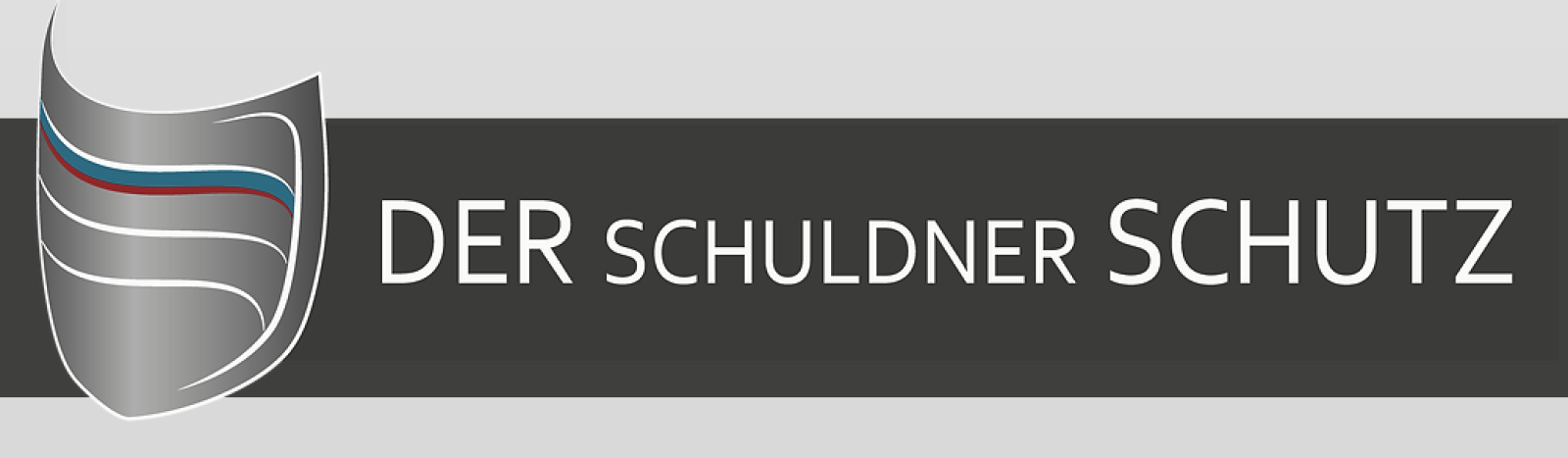 Der Schuldnerschutz e.V. - Schuldnerberatung Wolfsburg Logo