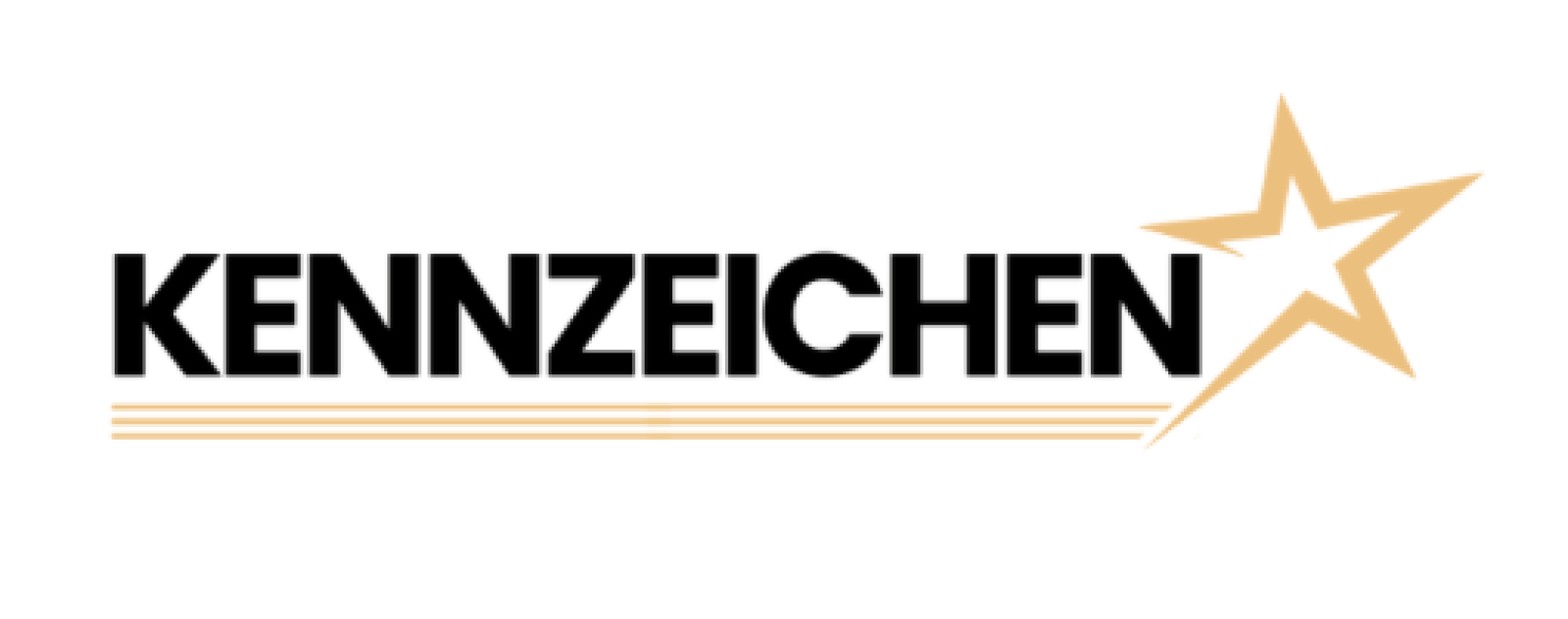kennzeichenstar.de Logo