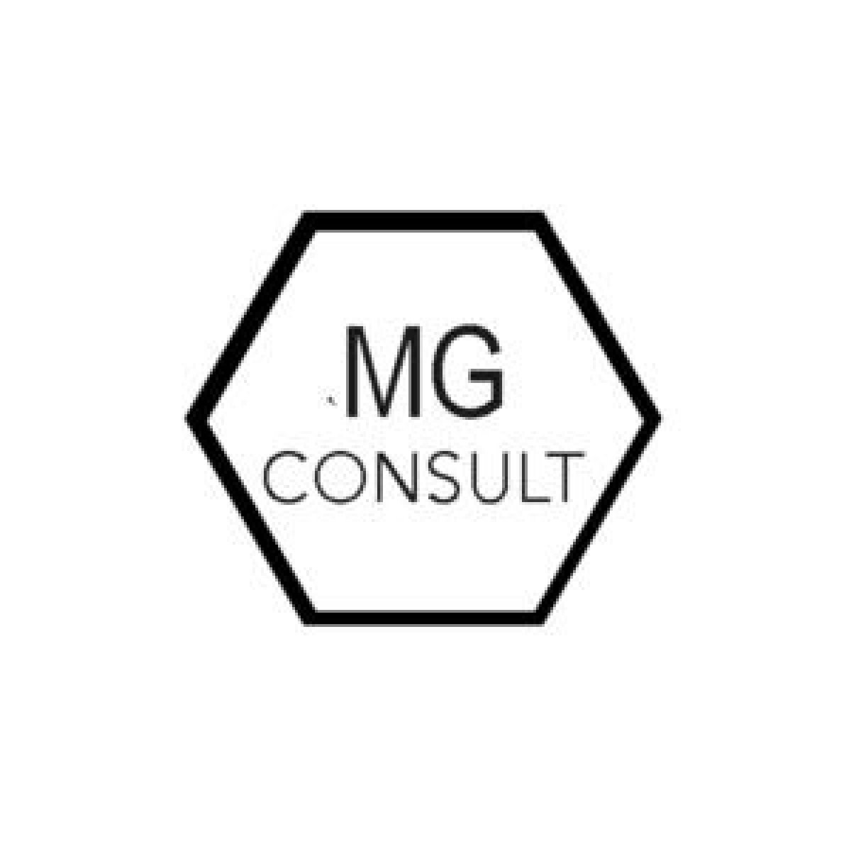 Martin Gabriel Consulting Logo
