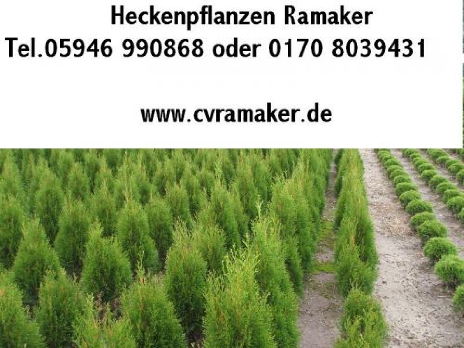 Heckenpflanzen Ramaker Logo