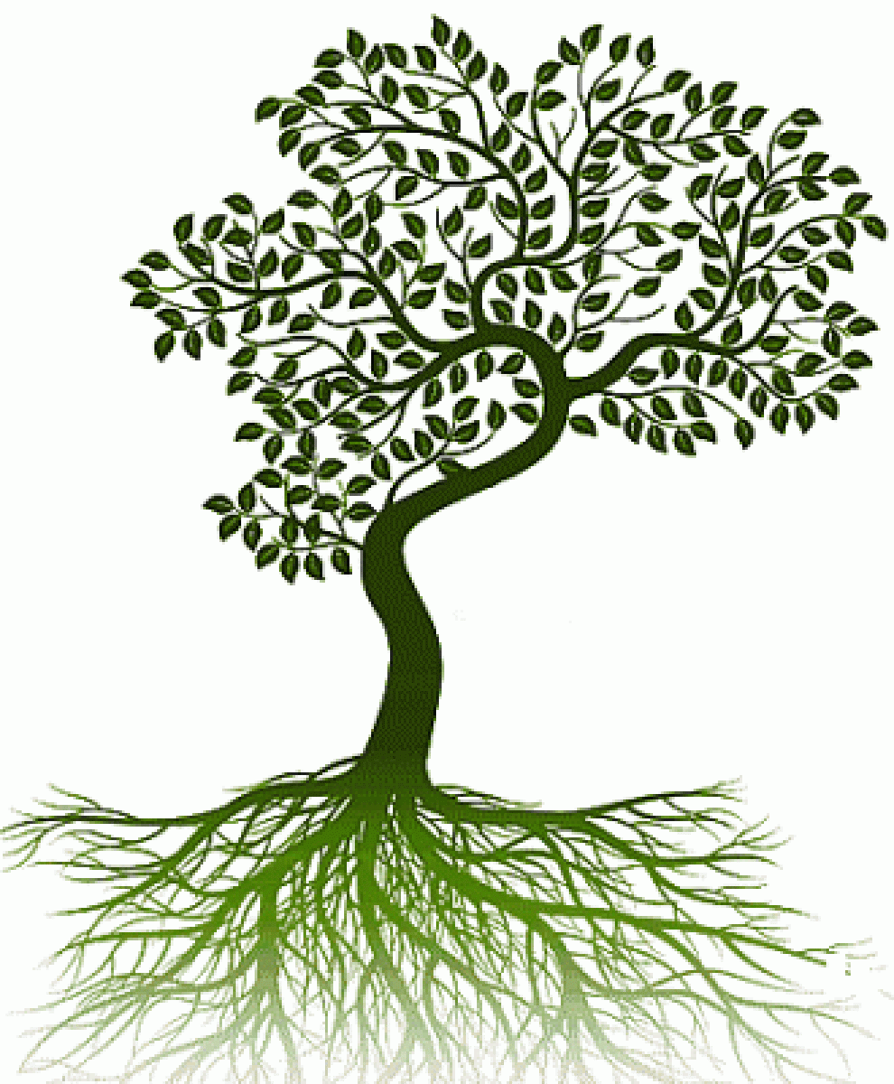 Garten-und Landschaftsbau Cimen Logo