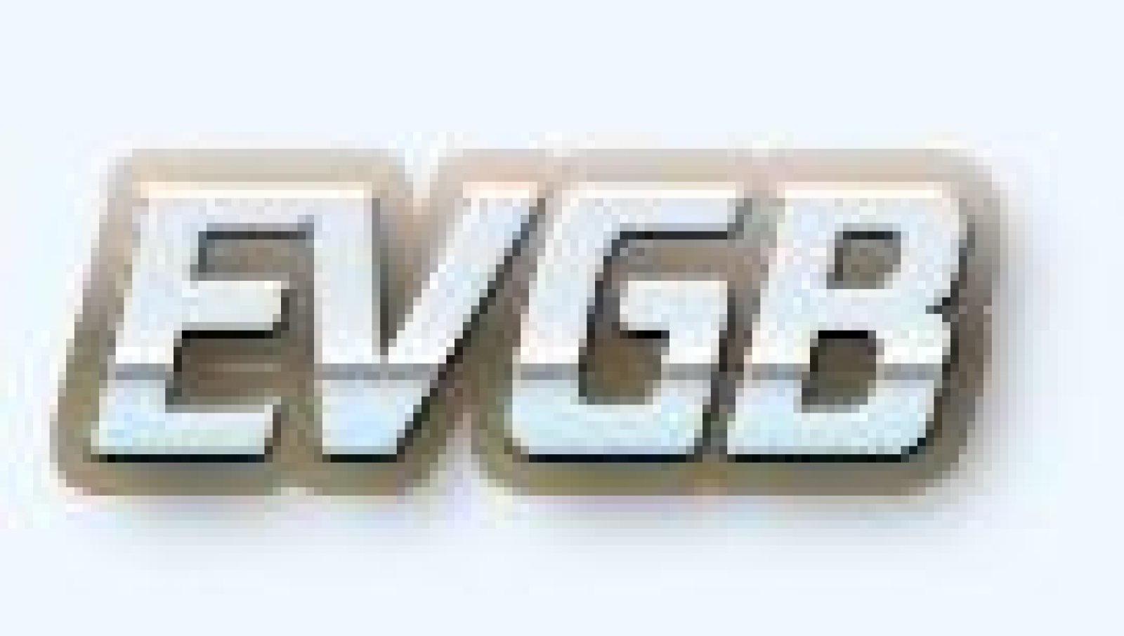 EVGB Romanas Krasauskas EINBAU VON GENORMTEN BAUFERTIGTEILEN Logo