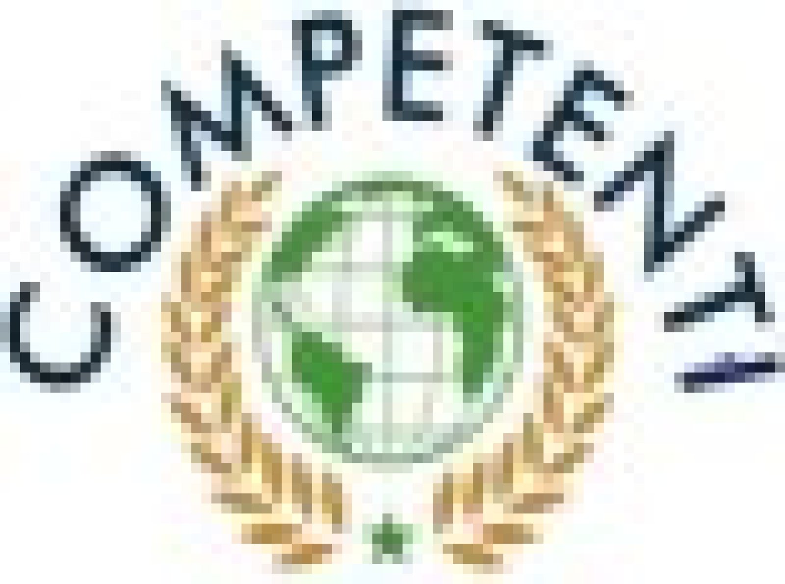 COMPETENTI HANDWERK Logo