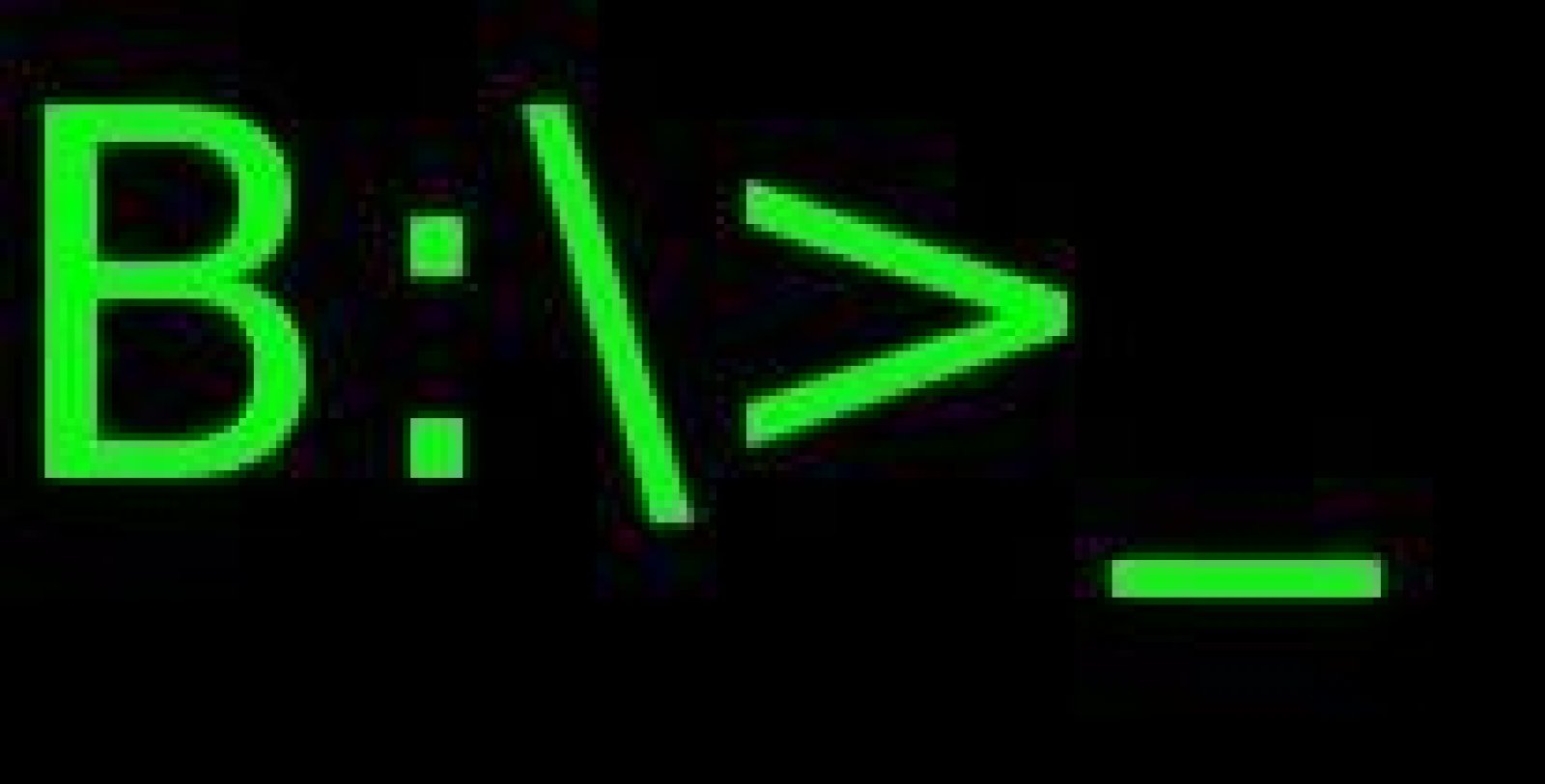 Bitstore Systemhaus UG Logo