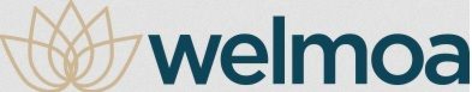 Welmoa GmbH Logo