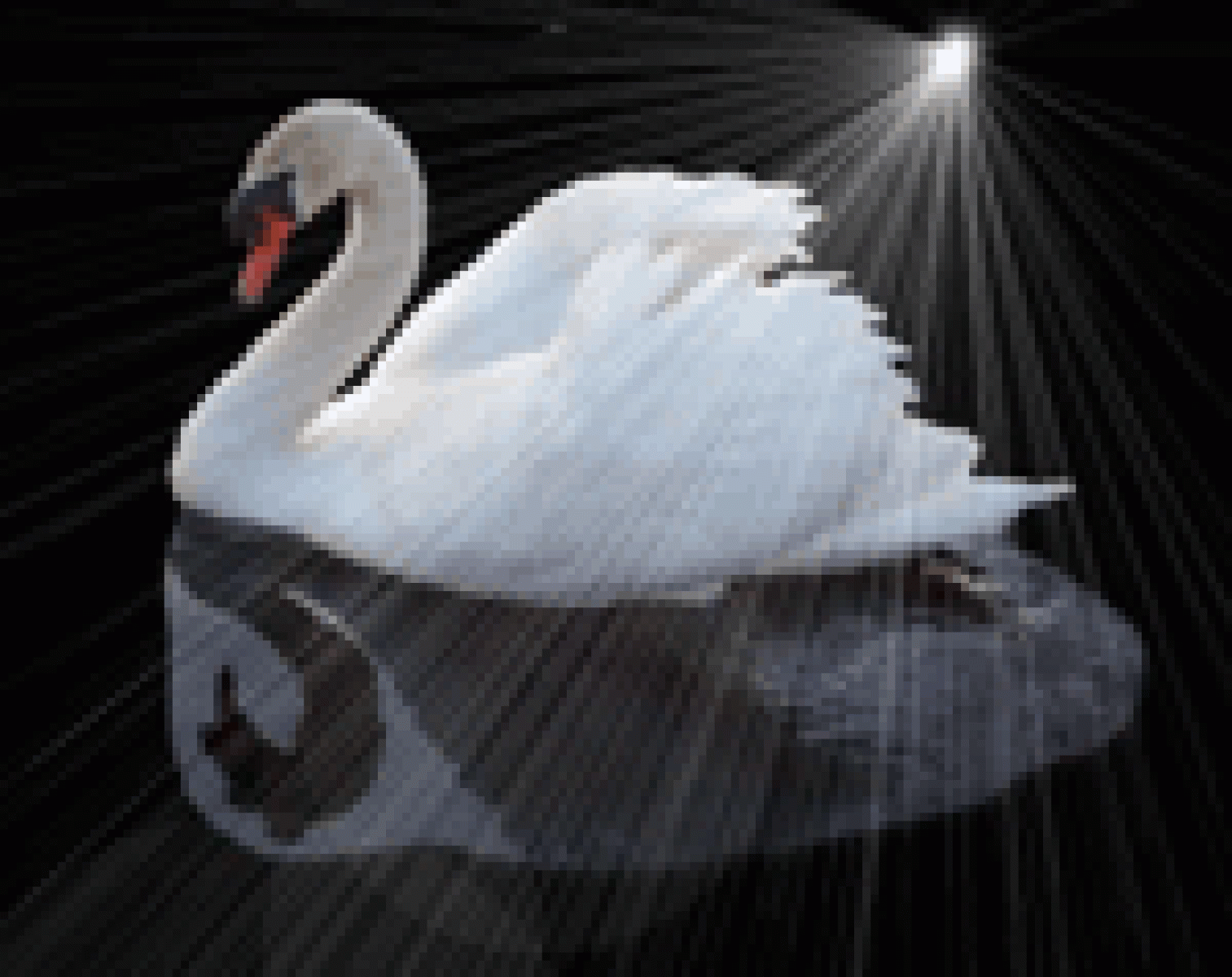 Fliesenschwan Logo