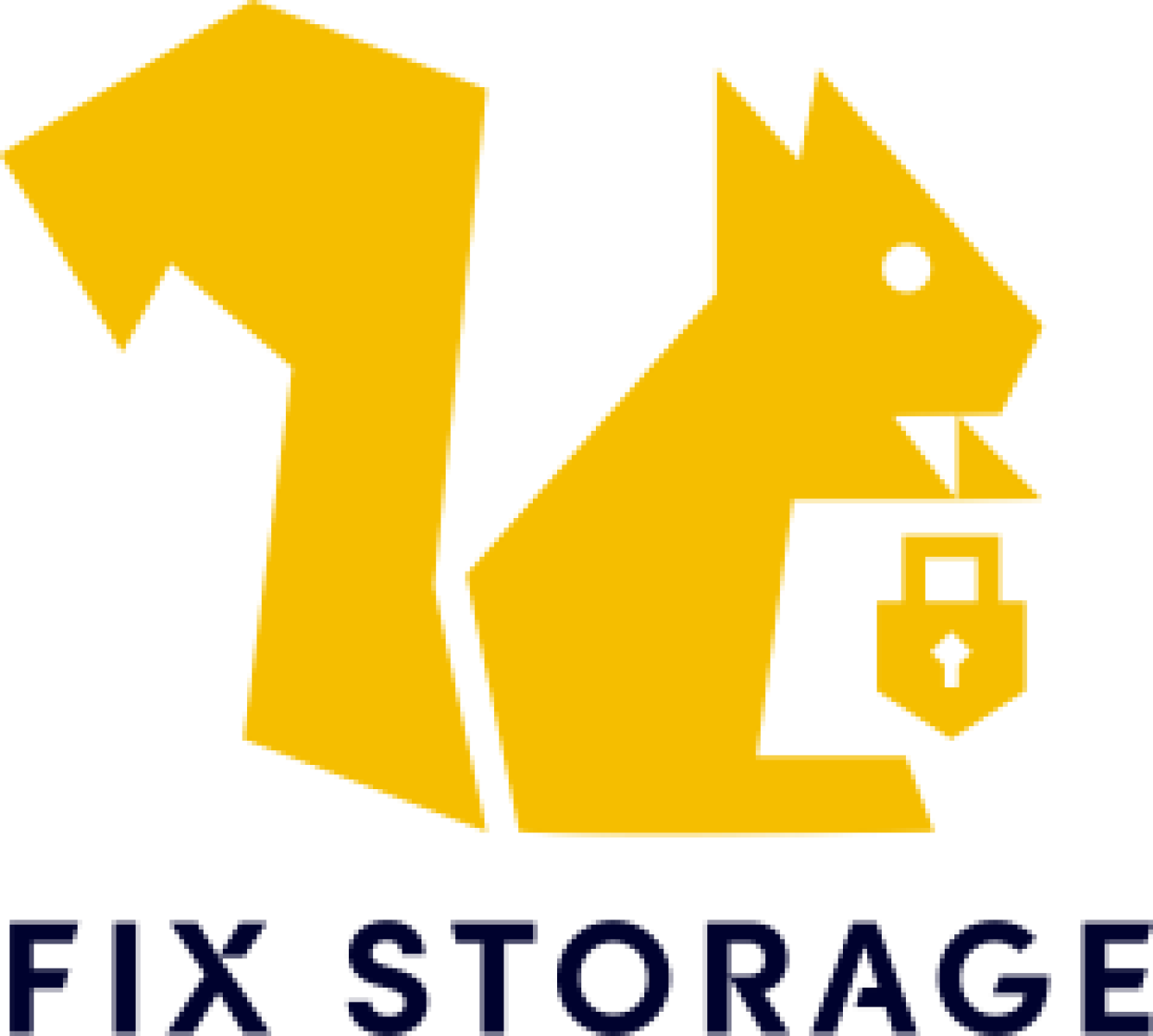 Fix Storage Logo