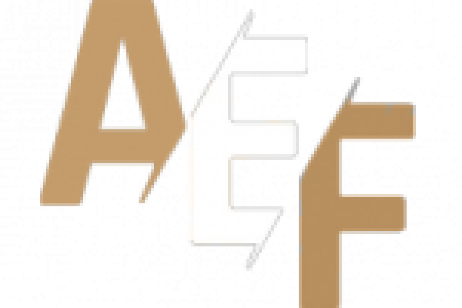 Airport Escort Frankfurt Logo