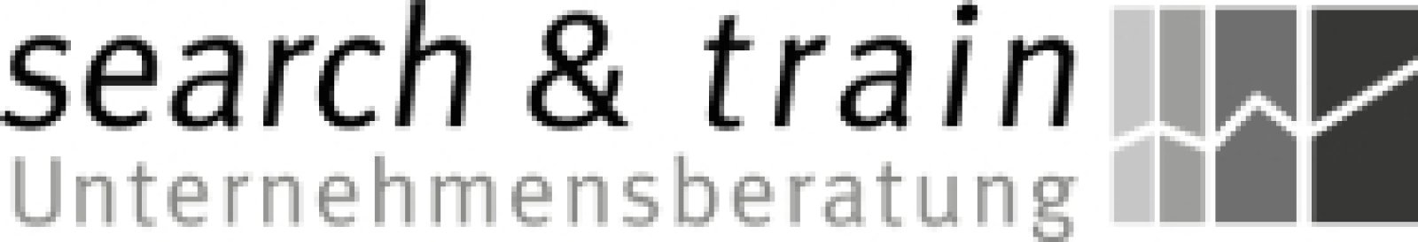 Search und Train Unternehmensberatung Logo