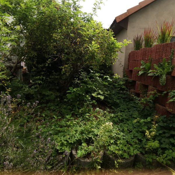 Gartenpflege Schulze: 