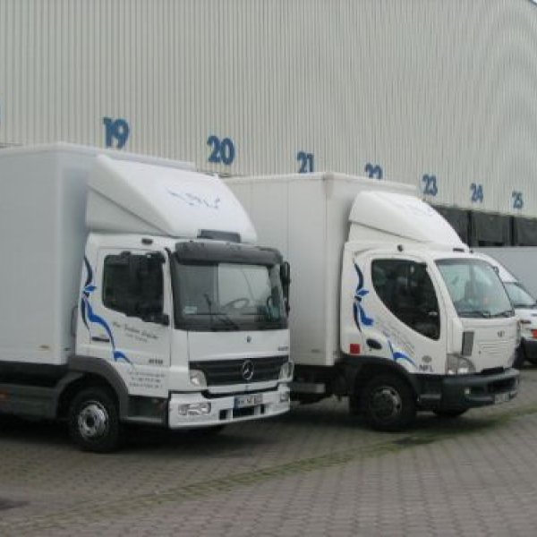 New Fashion Logistic: 