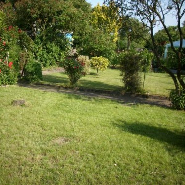 B.S.P. Immobilien Service Nord: Gartenpflege Hamburg