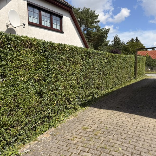 Gartenpflege Schulze: 