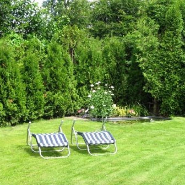 Ferienwohnungen Kutscher in Ostfriesland: Liegewiesen