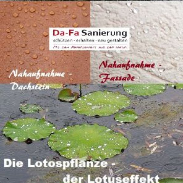 Da-Fa Sanierung Dachbeschhichtung Fassadenbeschichtung: 