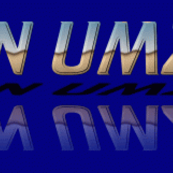 Stern Umzüge & Transporte: 