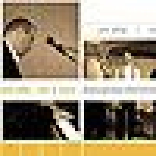 hatgirl motion design: Webdesign &amp; Programmierung