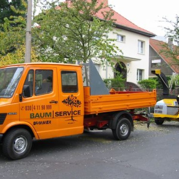 Baumservice Dummer: unsere Technik