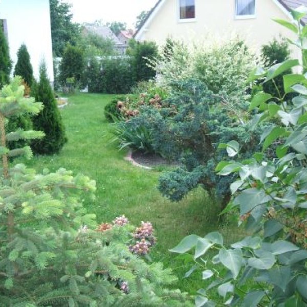 Der Baudienstleister: Garten und Landschaftsbau