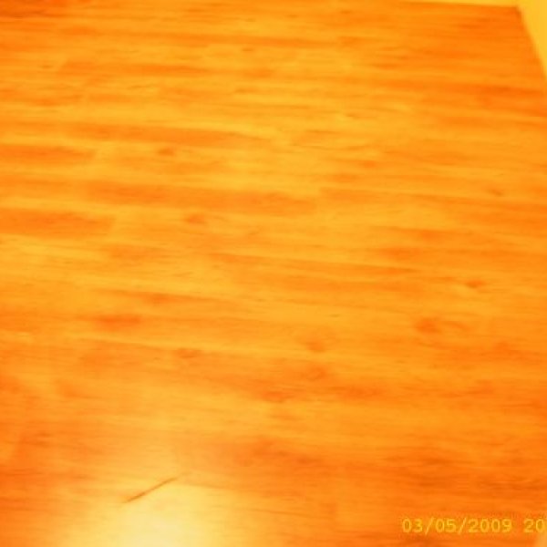 Kleinpreisstore: Laminatlegearbeiten