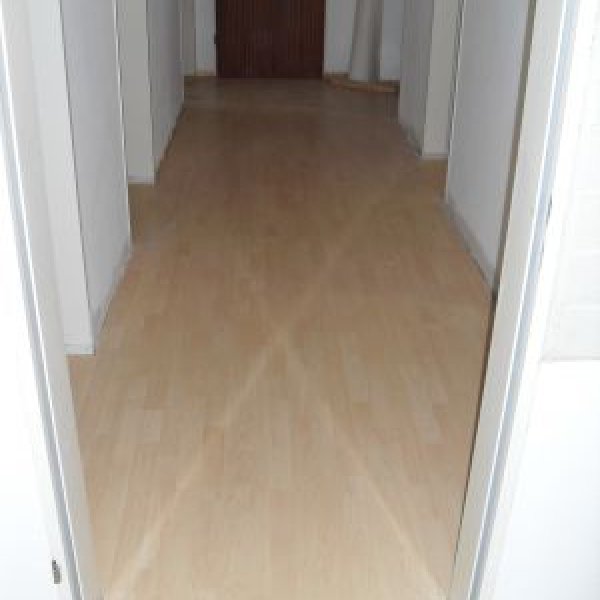 Bautentrocknungsgewerbe: Laminat Verlegung