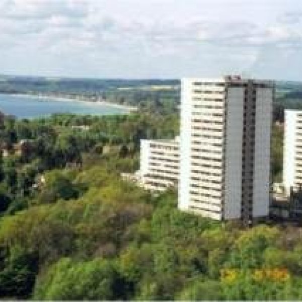 Reinigungsdienste Blitz-blank: Instandhaltung