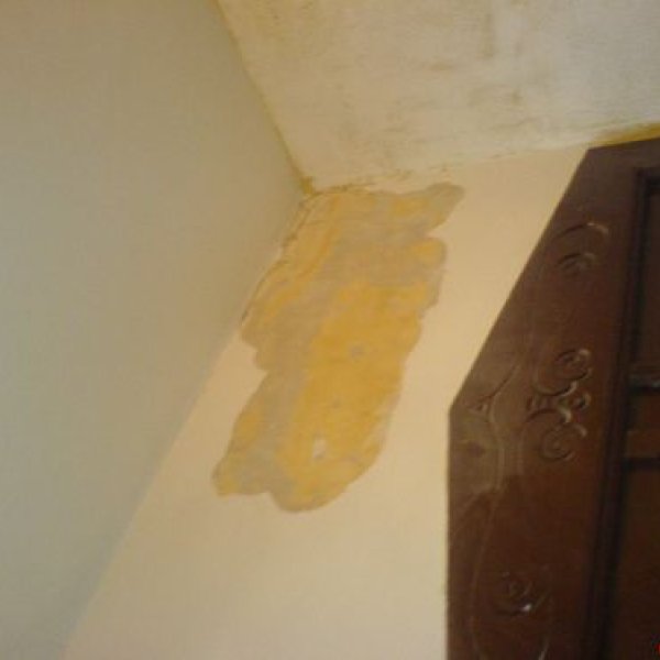 Holz und Bautenschutz Malerarbeiten N.Blaß: Altbau Putzausbesserung mit Gewebe