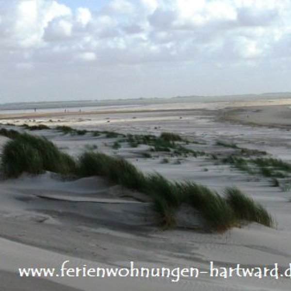 Ferienwohnungen Hartward-Neuharlingersiel: 