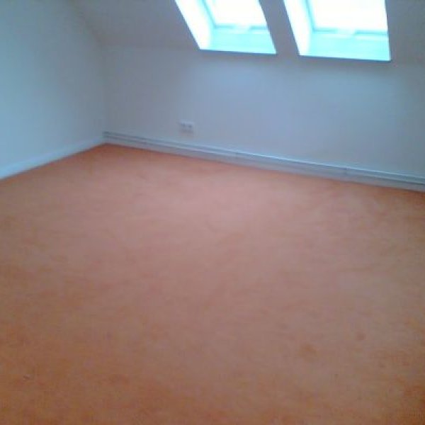Haus- und Renovierungsservice: Teppich verlegt
