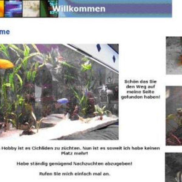 Schimmel EDV Service: Hobby Fischzucht