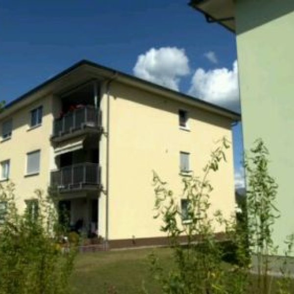 Holger's Gartenpflege & Serviceleistungen: 