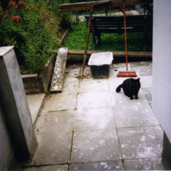 CL HANDWERKSBETRIEB: UND DER BESTE AM PLATZ BLACKY DIE BAUSTELLEN
KATZ...