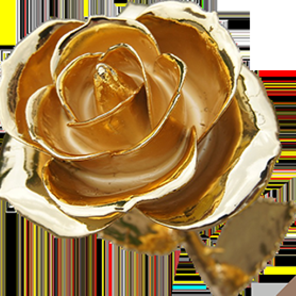 Floralis Novalis: 