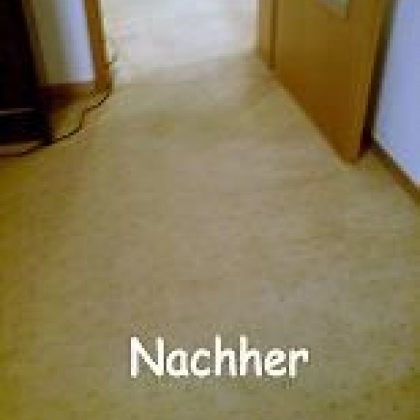 Reinigungs-Service Schmeißer Hannover & Wedemark: Reinigungs-Service Schmeißer, Profi - Teppichb...