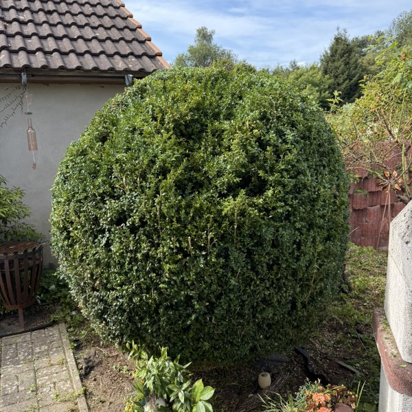 Gartenpflege Schulze: 