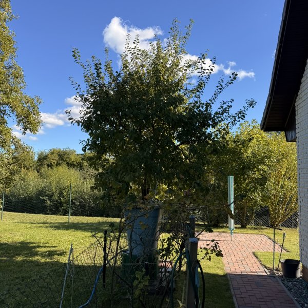 Gartenpflege Schulze: 