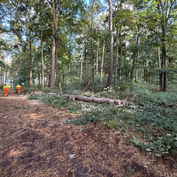 Gartenpflege Schulze: 