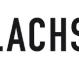 Flachs Bau (Bauunternehmung) Stuttgart, Stuttgart