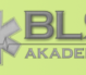 BLR Akademie Erste-Hilfe-Kurs München Ostbahnhof, München
