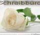 Schreibb?ro und Transkriptionen, Klagenfurt