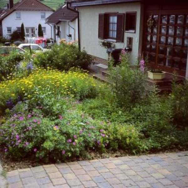 Birkenzweig Naturgartenbau: 